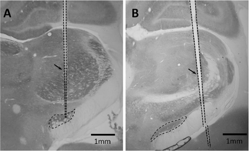 Fig. 8