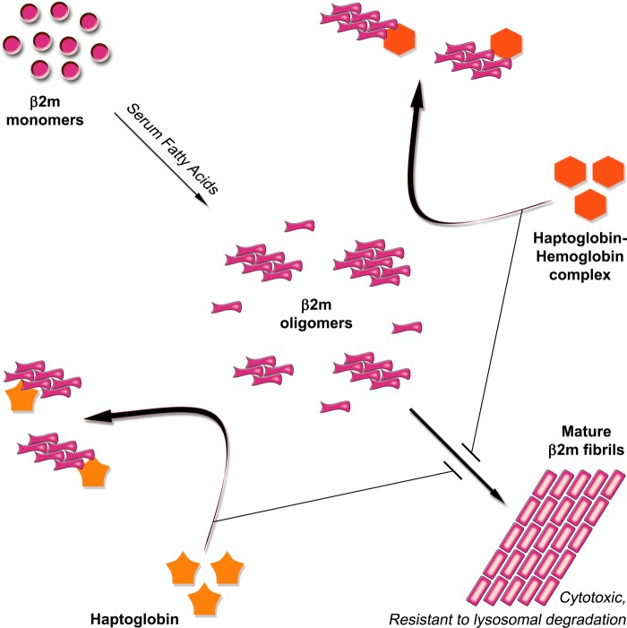 FIGURE 12.