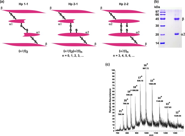 FIGURE 1.