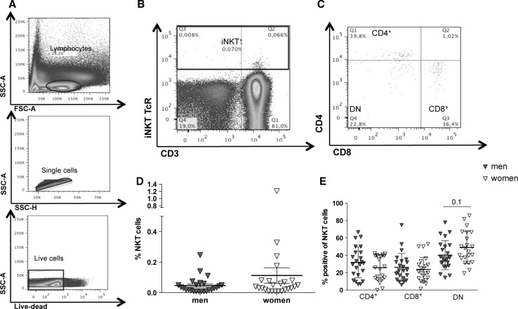 Fig. 1