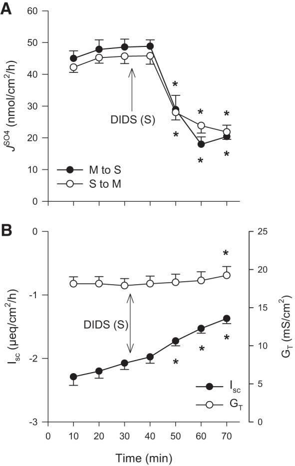 Fig. 5.