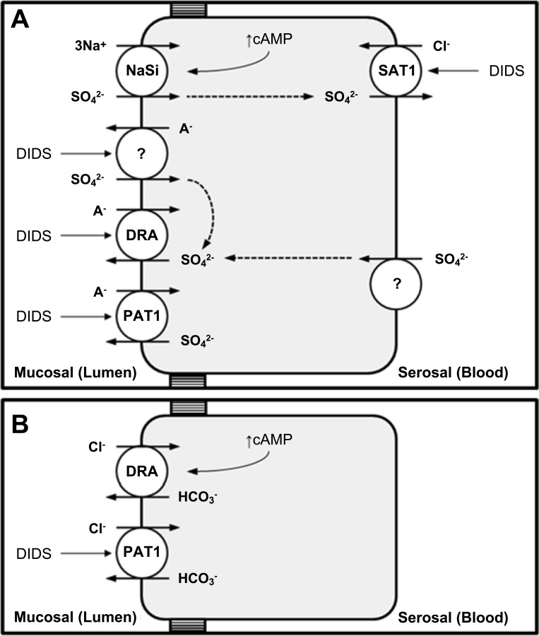 Fig. 8.