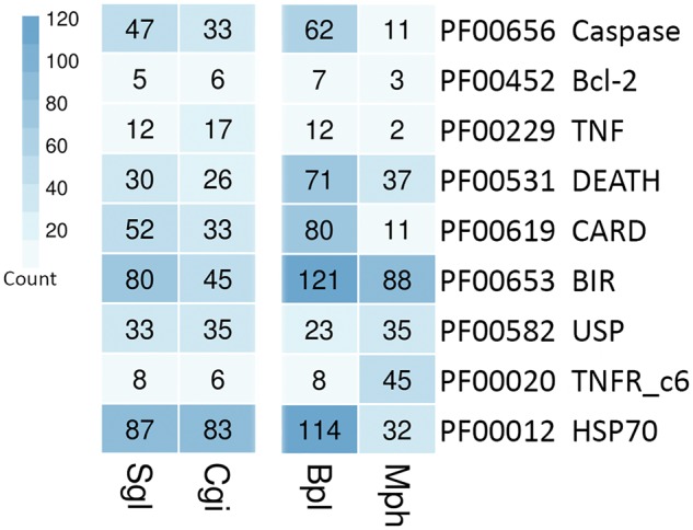 Figure 5.