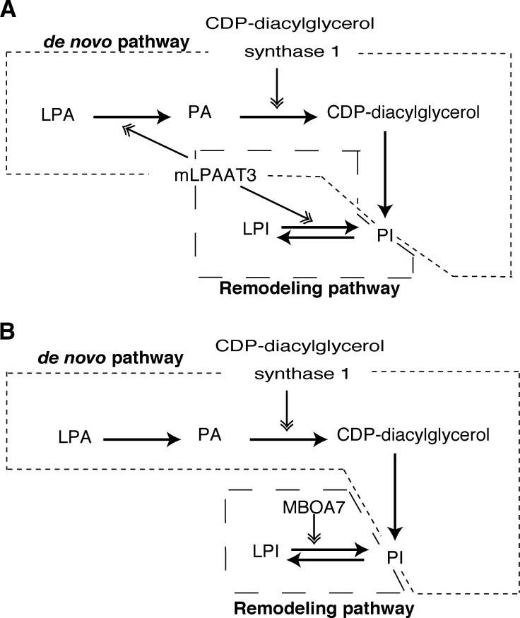 Fig. 7.