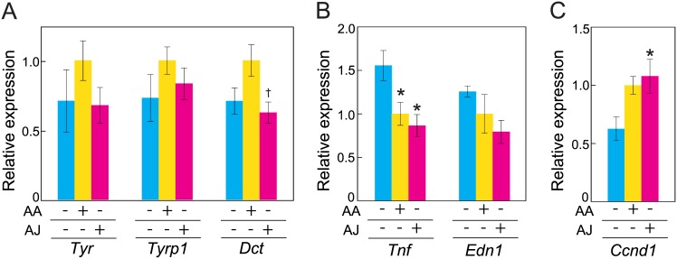 Fig 5