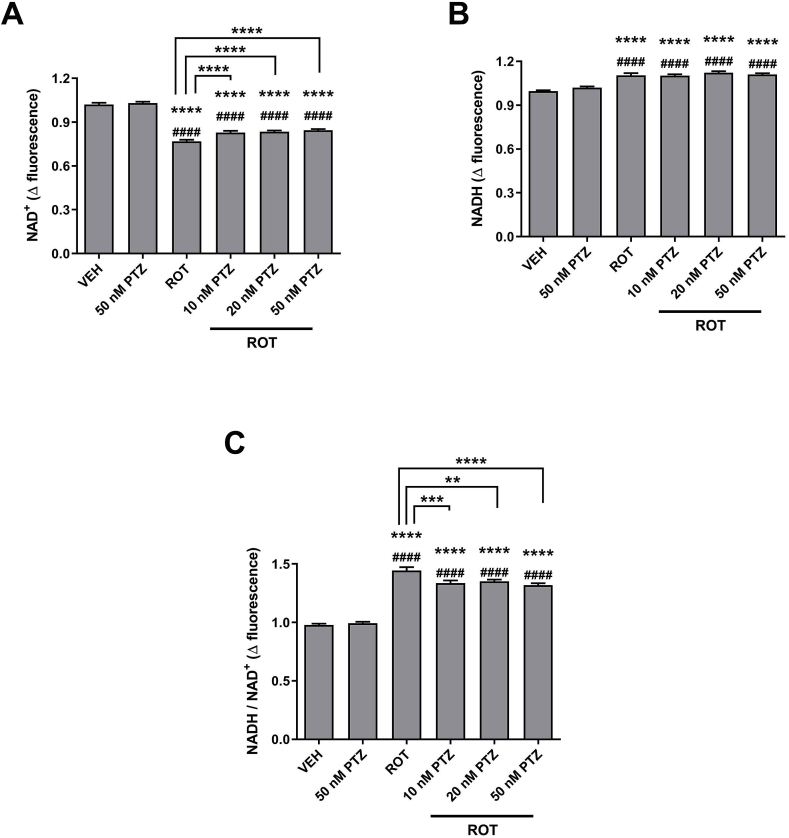 Fig. 10