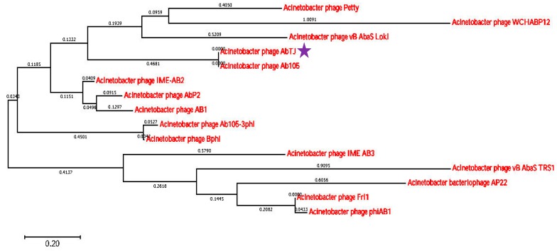 Figure 6