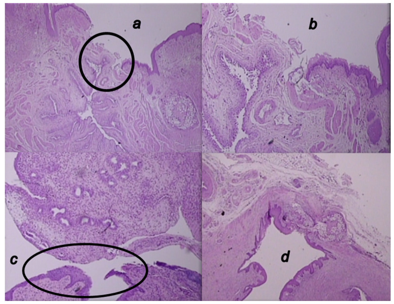 Figure 12