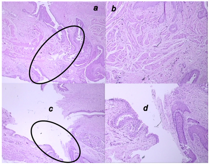 Figure 13