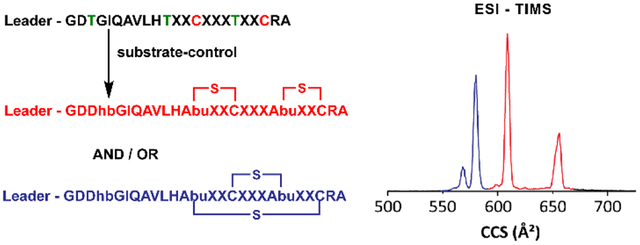 graphic file with name nihms-1789017-f0001.jpg