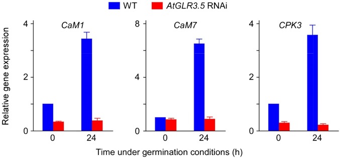 Figure 7.