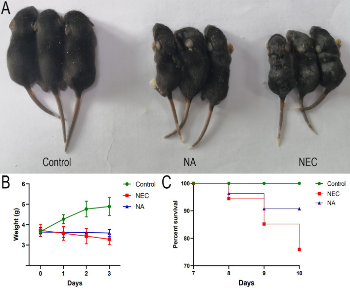 Figure 1