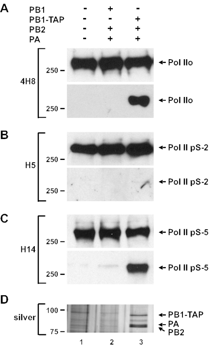 FIG. 2.