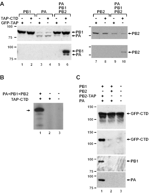 FIG. 3.