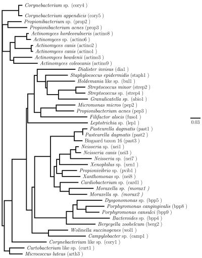 FIG. 1.