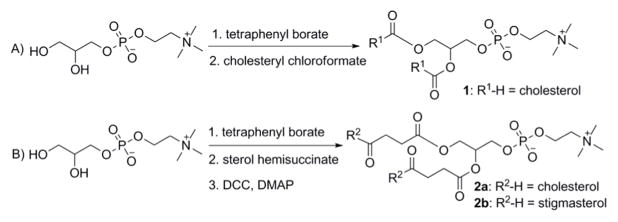 Scheme 1