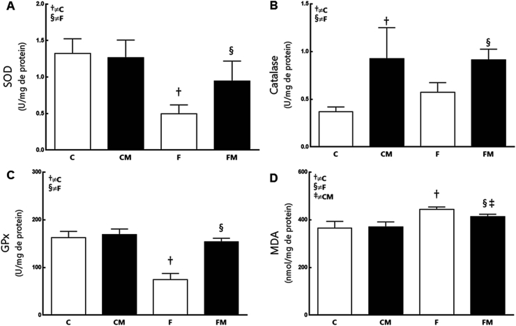 Fig. 6