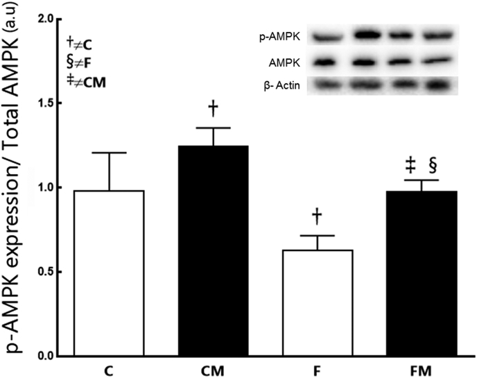 Fig. 7