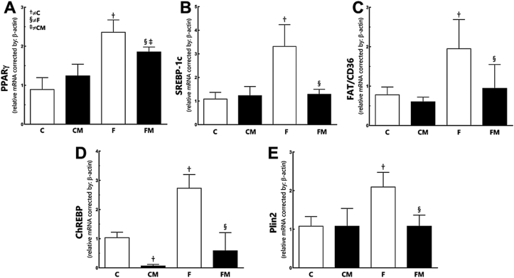 Fig. 4