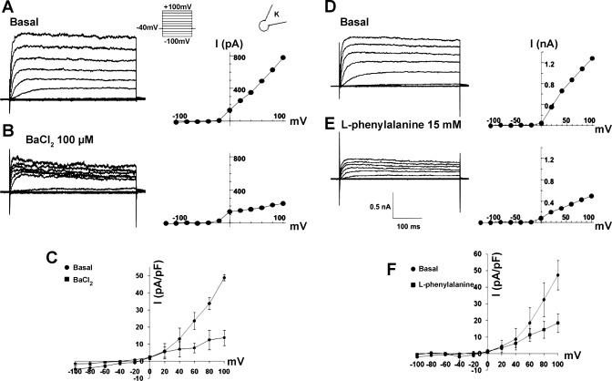 Fig. 10.