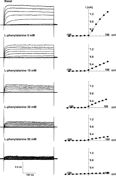 Fig. 11.