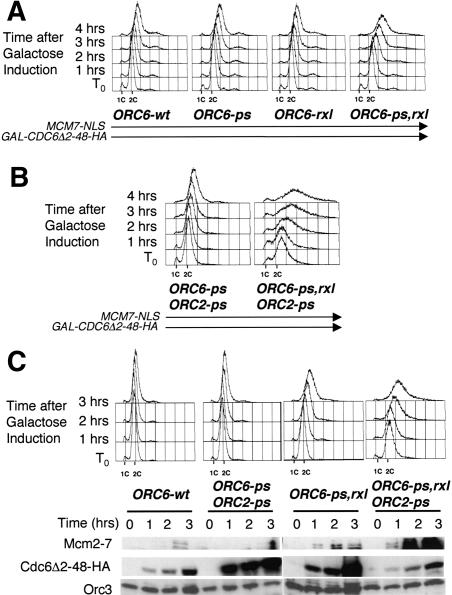 Figure 9.