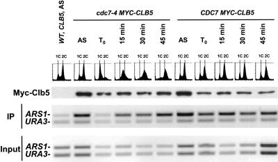 Figure 6.