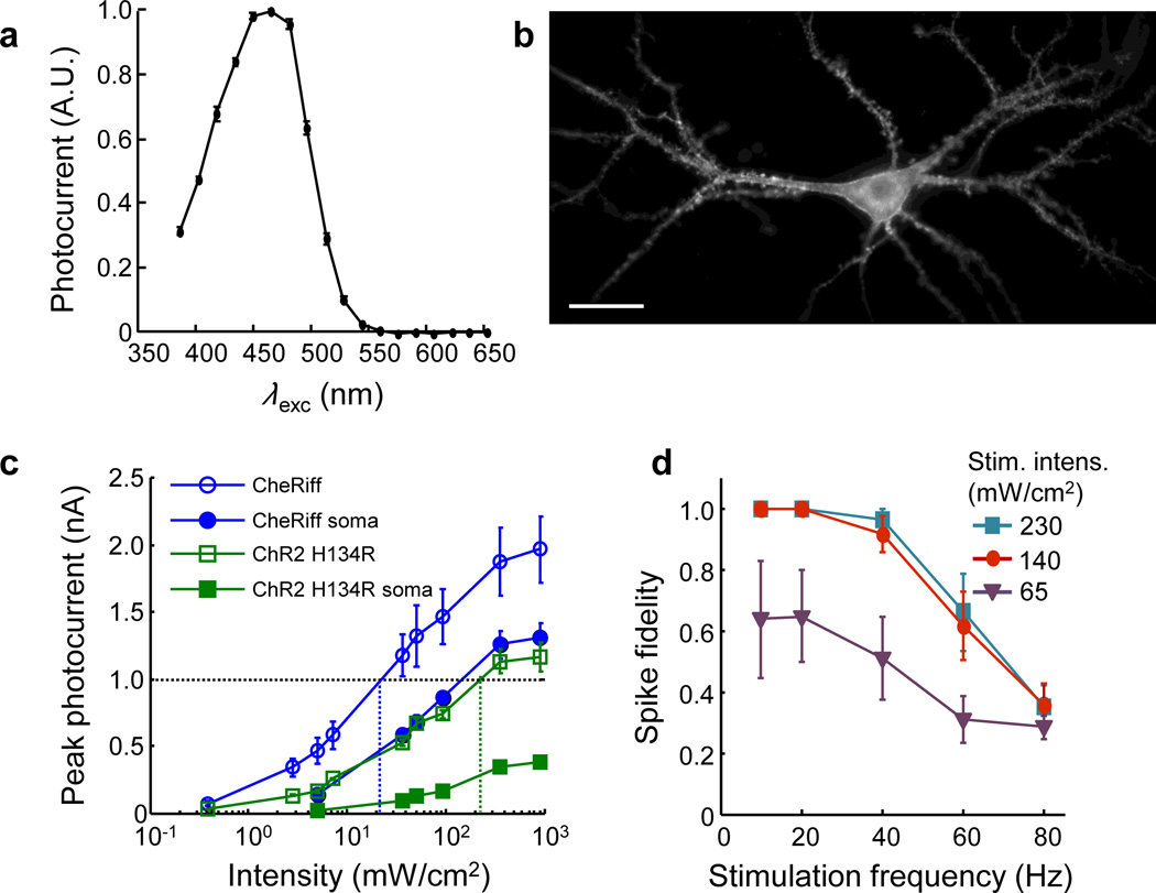 Figure 2