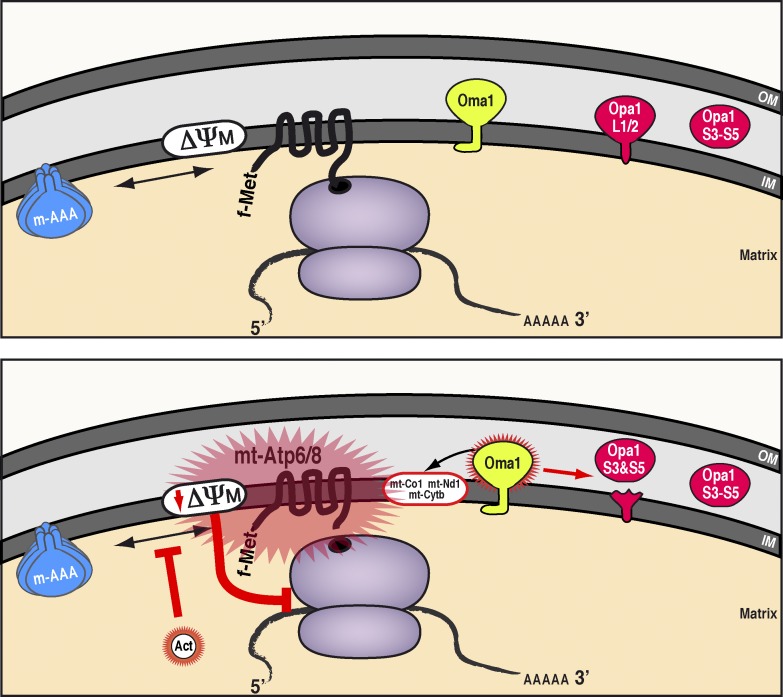 Figure 10.