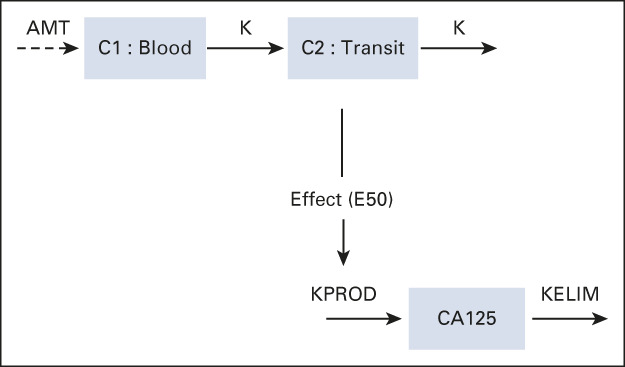 graphic file with name jco-41-107-g008.jpg