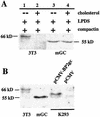 FIG. 10.
