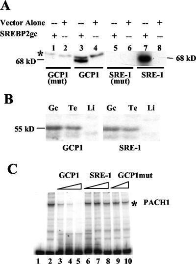 FIG. 11.