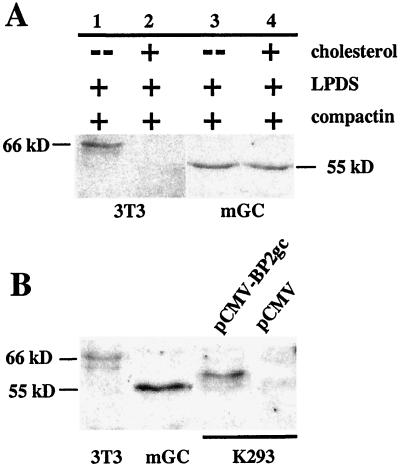 FIG. 10.