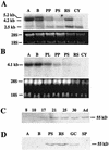 FIG. 8.