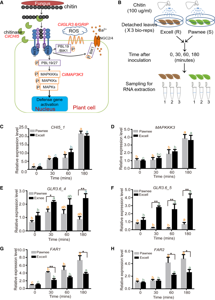 Figure 4