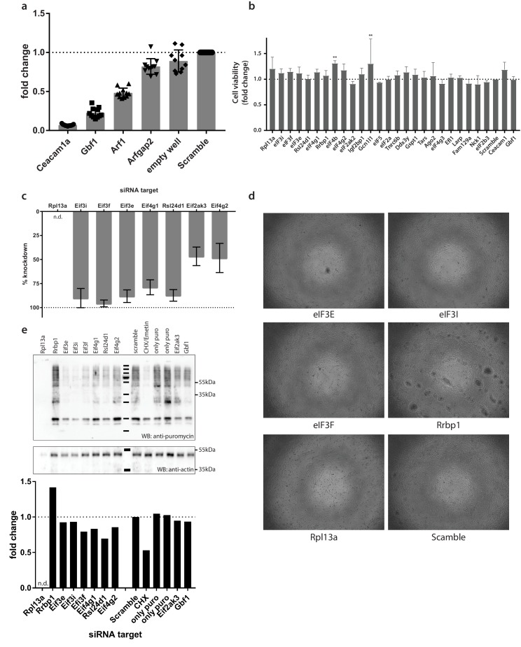 Figure 4—figure supplement 1.