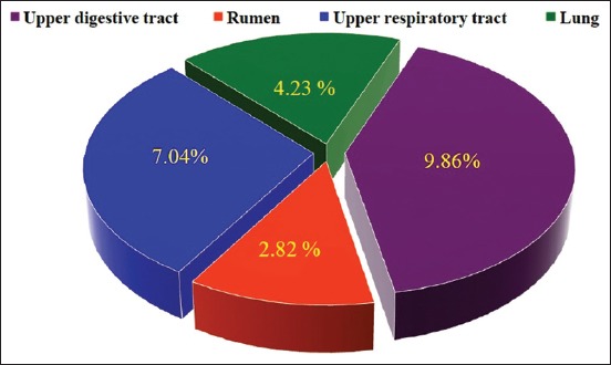 Figure-3