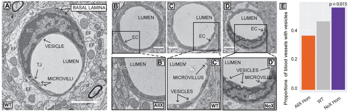 Figure 5