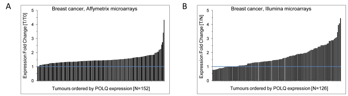 Fig 1: