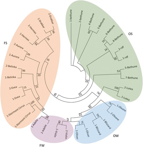 Fig. 3