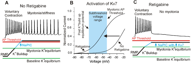 Fig 6: