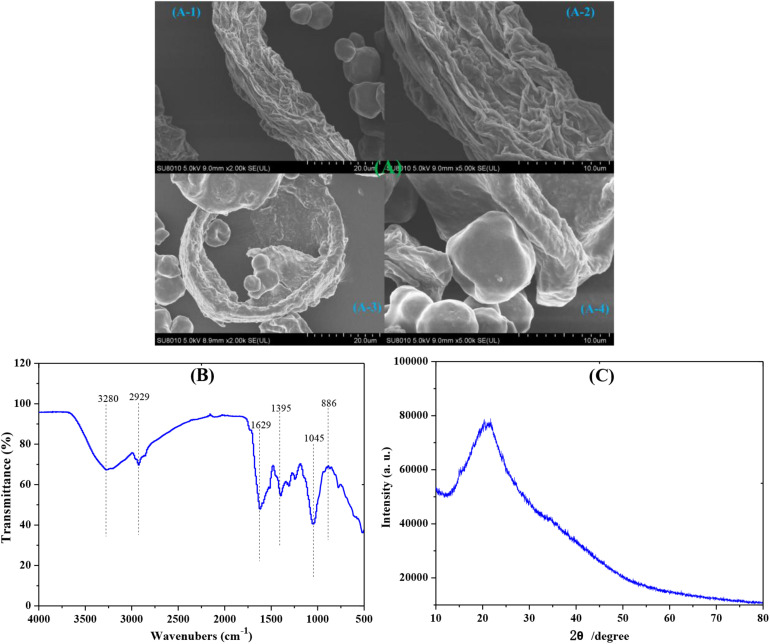 FIGURE 2