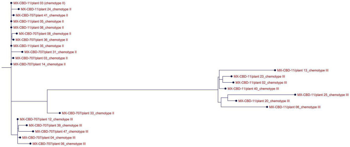 FIGURE 3