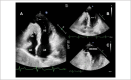 Figura 7