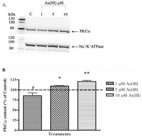 FIG. 9