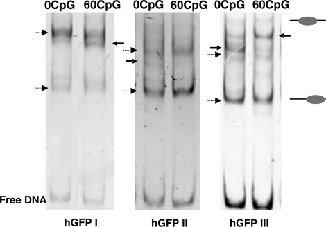 Figure 9.