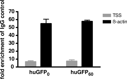 Figure 10.