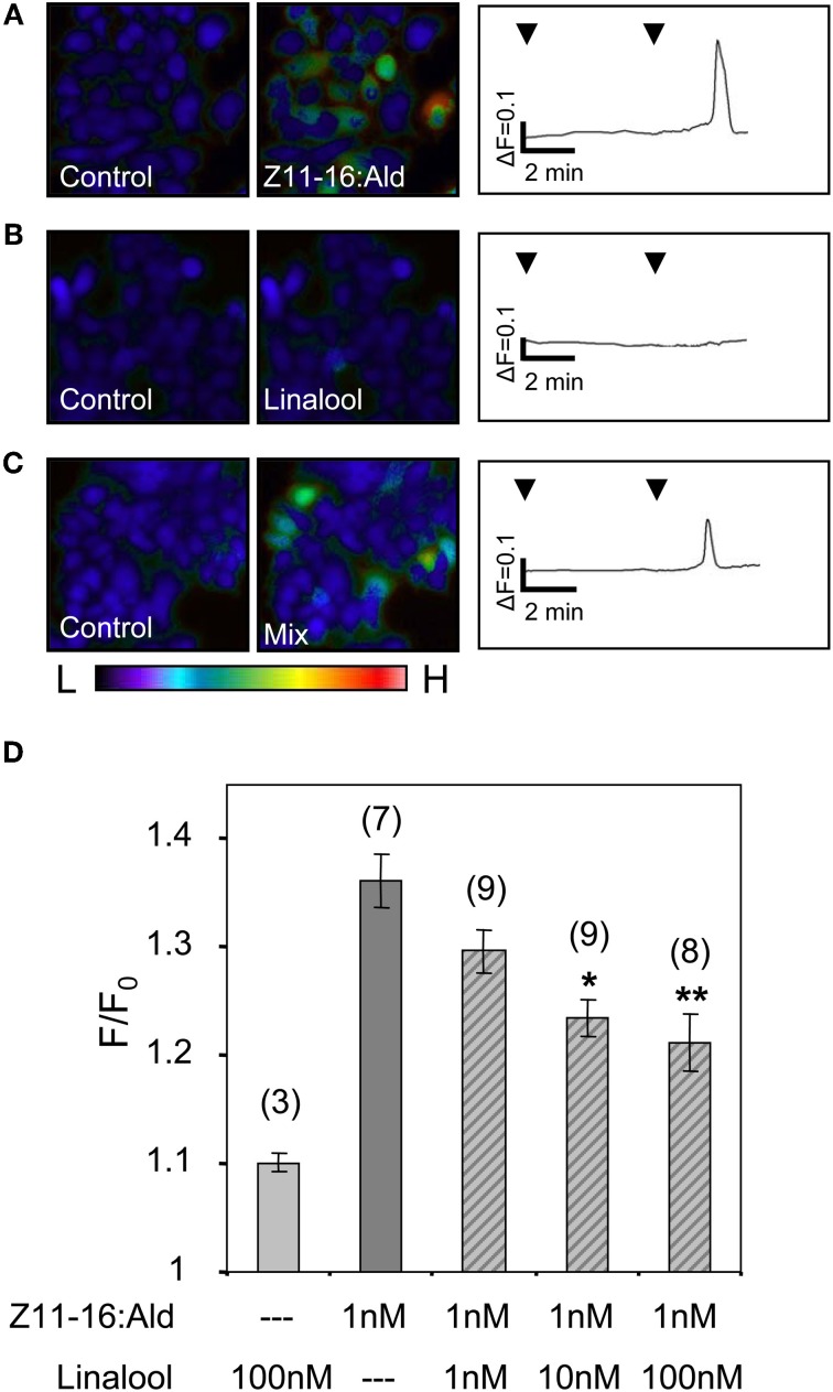 Figure 7