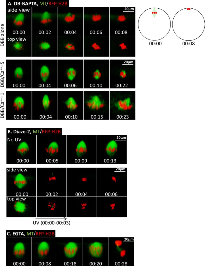 FIGURE 4: