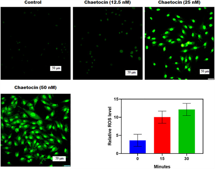 FIGURE 4